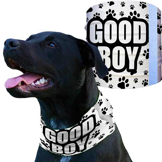 Good Boy - Crazy Mask